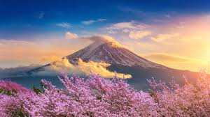 JAPAN 2.jpg